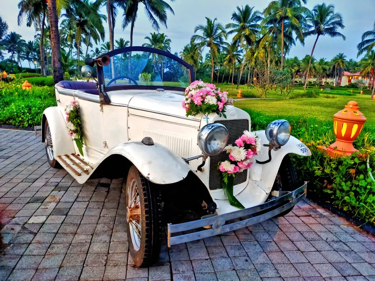 Ivory Heritage Roadster available in Goa