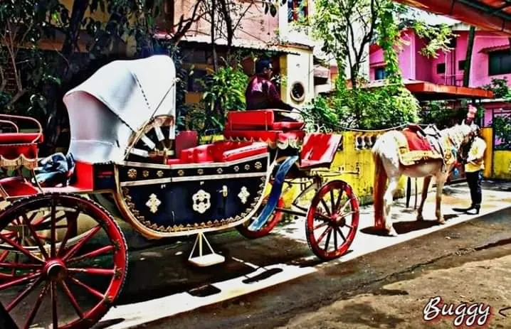 Traditional Horse-Drawn Carriage available in Goa