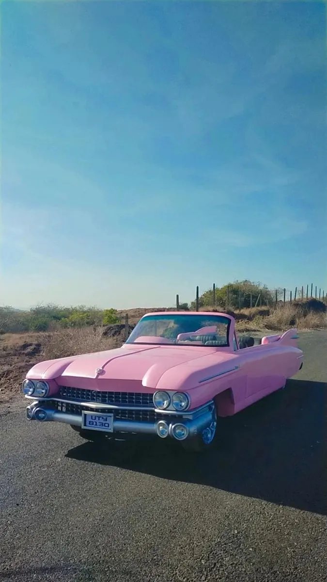 Pink American Convertible available in Goa